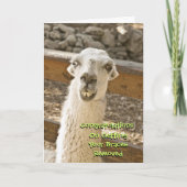 Herzlichen Glückwunsch Bracks Off Llama Card Karte (Vorderseite)