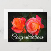 Herzlichen Glückwunsch Broadway Rose #1 Postcard Postkarte (Vorne/Hinten)