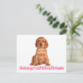 Herzlichen Glückwunsch Cocker Spaniel Puppy Dock P Postkarte (Stehend Vorderseite)