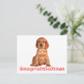 Herzlichen Glückwunsch Cocker Spaniel Puppy Dock P Postkarte (Stehend Vorderseite)