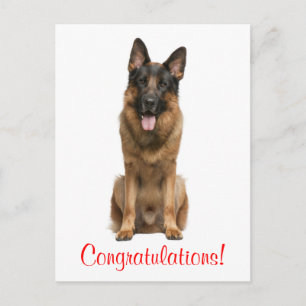 Herzlichen Glückwunsch Deutsche Schäferhund Welpe Postkarte