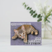 Herzlichen Glückwunsch! Du wirst kastriert! Postkarte (Stehend Vorderseite)