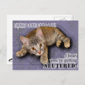 Herzlichen Glückwunsch! Du wirst kastriert! Postkarte (Vorne/Hinten)