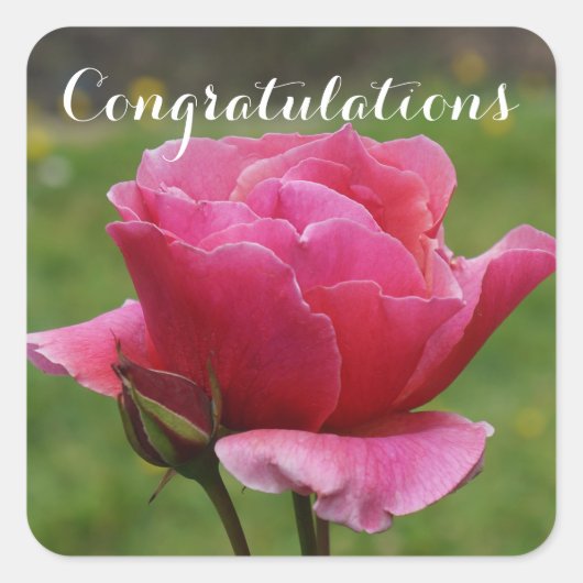 Herzlichen Glückwunsch Duet Rose #1-2 Stickers (Vorderseite)