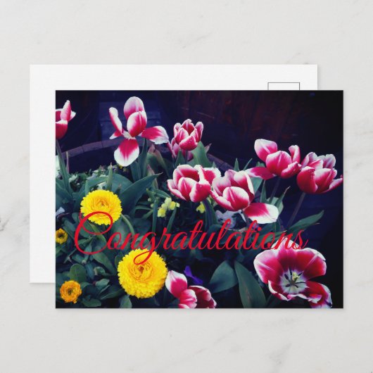 Herzlichen Glückwunsch Frühlingsblumen #4 Postkart Postkarte (Vorne/Hinten)