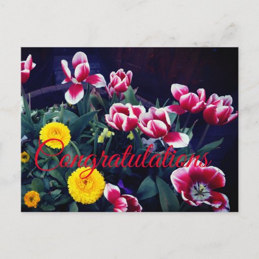 Herzlichen Glückwunsch Frühlingsblumen #4 Postkart Postkarte (Vorderseite)