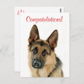 Herzlichen Glückwunsch German Shepherd Puppy Dock Postkarte (Vorne/Hinten)