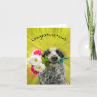 Herzlichen Glückwunsch! Glücklicher Hund mit Blume