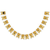 Herzlichen Glückwunsch Graduate Gold Sparkle Absch Wimpelkette (Alle)