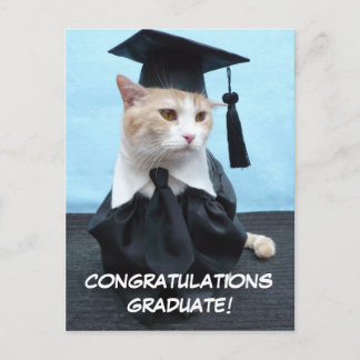 Herzlichen Glückwunsch Graduate! Postkarte