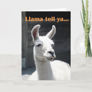 Herzlichen Glückwunsch - Lustiger Lama Karte