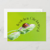 Herzlichen Glückwunsch - mit Marienkäfer! Postkarte (Vorne/Hinten)