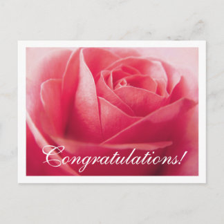 Herzlichen Glückwunsch Pink Rose Gruß Postkarte