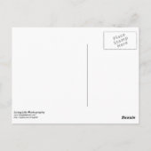 Herzlichen Glückwunsch Postcard Postkarte (Rückseite)