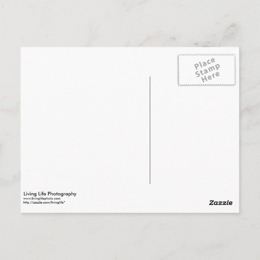 Herzlichen Glückwunsch Postcard Postkarte (Rückseite)