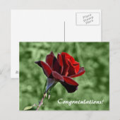 Herzlichen Glückwunsch Postcard Postkarte (Vorne/Hinten)