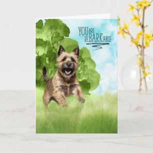 Herzlichen Glückwunsch reBARKable Cairn Terrier Hu Karte