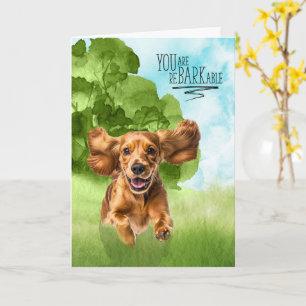 Herzlichen Glückwunsch reBARKable Cocker Spaniel H Karte