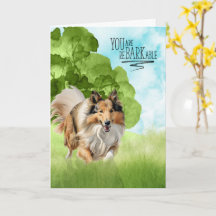 Herzlichen Glückwunsch reBARKable Rough Collie Hun