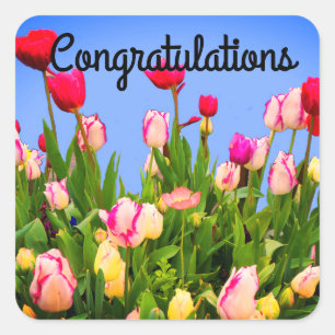 Herzlichen Glückwunsch Verschiedene Tulips #3 Stic Quadratischer Aufkleber