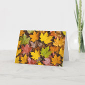 Herzlichen Glückwunsch von unserer Zuhause zu Ihne Dankeskarte (Rückseite)