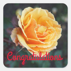 Herzlichen Glückwunsch zu der Rose #3 von Face Quadratischer Aufkleber