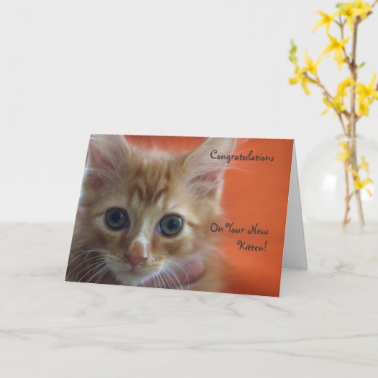 Herzlichen Glückwunsch zu Ihrem neuen Kitten Karte (Gelbe Blume)