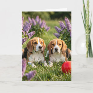 Herzlichen Glückwunsch zu Ihren neuen Beagles He Karte