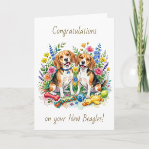 Herzlichen Glückwunsch zu Ihren neuen Beagles Zw Karte