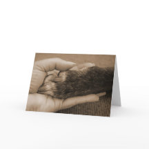 Herzlichen Glückwunsch zu Ihrer Adoption!