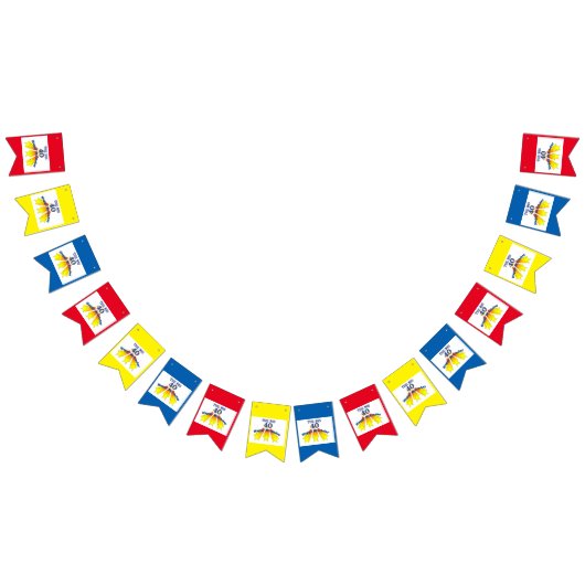 Herzlichen Glückwunsch zum 40. Geburtstag Wimpelkette (Alle)