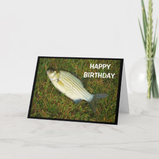 Herzlichen Glückwunsch zum Geburtstag an jemanden Karte