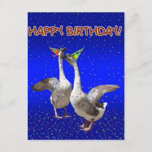 Herzlichen Glückwunsch zum Geburtstag der Gänse! Postkarte