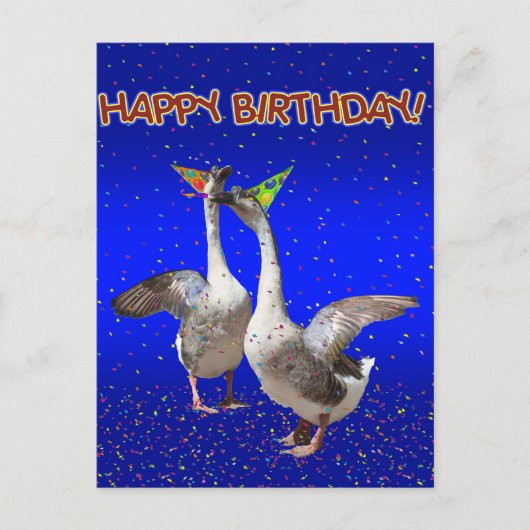 Herzlichen Glückwunsch zum Geburtstag der Gänse! Postkarte (Vorderseite)