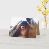 Herzlichen Glückwunsch zum Geburtstag, die Grußkar Karte (Gelbe Blume)