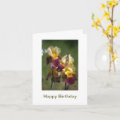 Herzlichen Glückwunsch zum Geburtstag einer schöne Karte (Gelbe Blume)