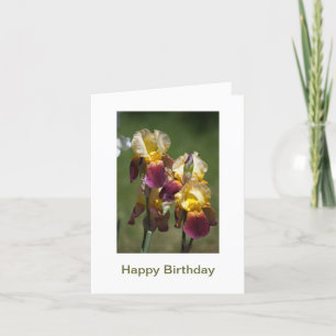 Herzlichen Glückwunsch zum Geburtstag einer schöne Karte