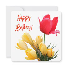 Herzlichen Glückwunsch zum Geburtstag, farbenfrohe