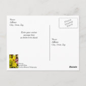 Herzlichen Glückwunsch zum Geburtstag fröhliche Bo Postkarte (Rückseite)