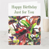 Herzlichen Glückwunsch zum Geburtstag für Sie Trop Karte (Vorderseite)