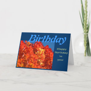 Herzlichen Glückwunsch zum Geburtstag! Grußkarten  Karte