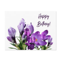 Herzlichen Glückwunsch zum Geburtstag hübsche lila