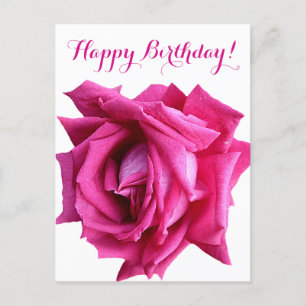 Herzlichen Glückwunsch zum Geburtstag hübsche Rosa Postkarte