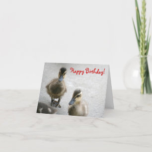 Herzlichen Glückwunsch zum Geburtstag! Karte