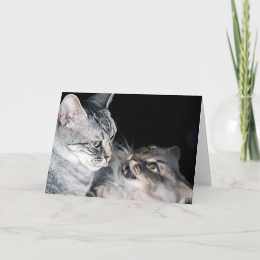 Herzlichen Glückwunsch zum Geburtstag! Karte (Vorderseite)