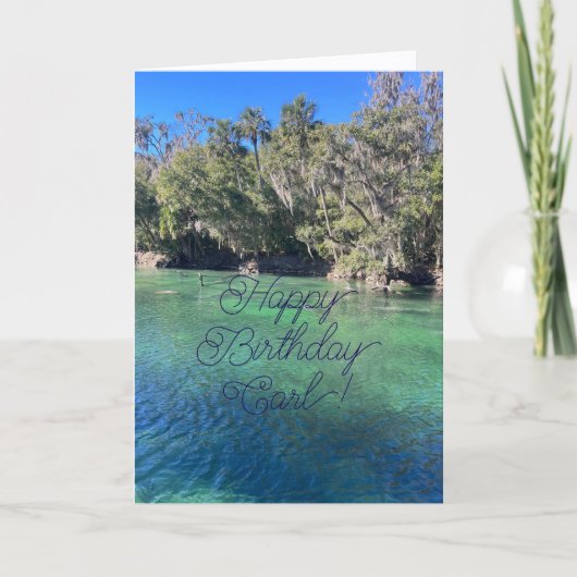 Herzlichen Glückwunsch zum Geburtstag, liebe Nephe Karte (Vorderseite)