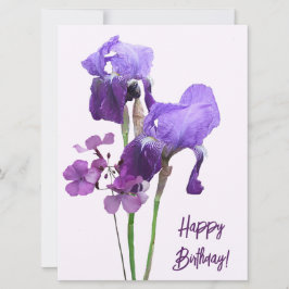 Herzlichen Glückwunsch zum Geburtstag lila Iris-Bl Feiertagskarte