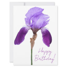 Herzlichen Glückwunsch zum Geburtstag lila Iris Bl