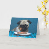 Herzlichen Glückwunsch zum Geburtstag Mops mit Ste Karte (Gelbe Blume)