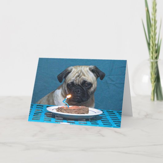 Herzlichen Glückwunsch zum Geburtstag Mops mit Ste Karte (Vorderseite)